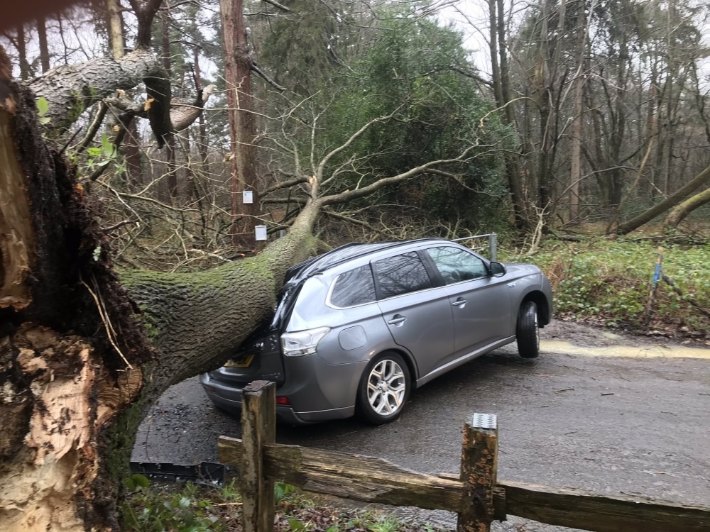 Lucky escape as tree crushes a family's car